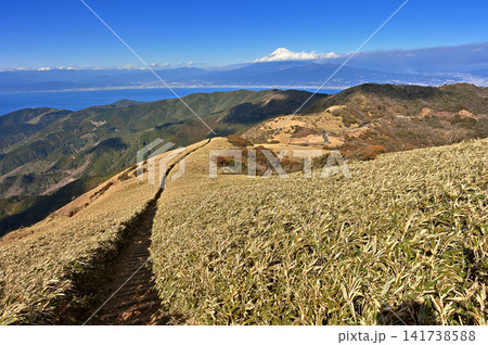 伊豆半島の伊豆山稜線歩道　達磨山の笹原の登山道から望む富士山 141738588