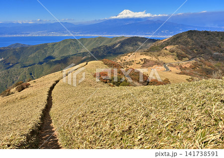 伊豆半島の伊豆山稜線歩道 達磨山の笹原の登山道から望む富士山 伊豆半島の伊豆山稜線歩道 達磨山の笹原の登山道から望む富士山 141738591
