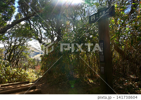 伊豆半島の伊豆山稜線歩道 森の中の小達磨山山頂 伊豆半島の伊豆山稜線歩道 森の中の小達磨山山頂 141738604
