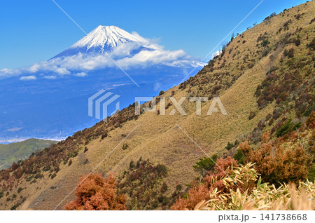伊豆半島の伊豆山稜線歩道 達磨山 笹原の山肌の向こうに聳える富士山 伊豆半島の伊豆山稜線歩道 達磨山 笹原の山肌の向こうに聳える富士山 141738668