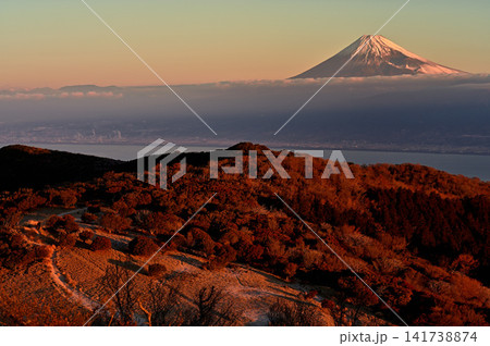 伊豆半島 伊豆山稜線歩道の金冠山 朝焼けに染まる山稜と富士山 伊豆半島 伊豆山稜線歩道の金冠山 朝焼けに染まる山稜と富士山 141738874