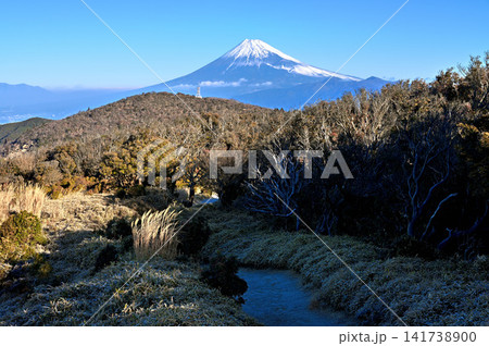 伊豆半島 伊豆山稜線歩道 小達磨山の道上から望む富士山 伊豆半島 伊豆山稜線歩道 小達磨山の道上から望む富士山 141738900