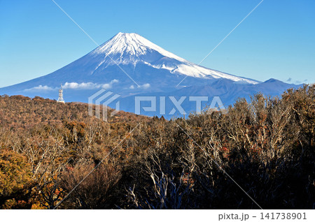 伊豆半島 伊豆山稜線歩道 小達磨山から望む雪景色の富士山と愛鷹山 伊豆半島 伊豆山稜線歩道 小達磨山から望む雪景色の富士山と愛鷹山 141738901