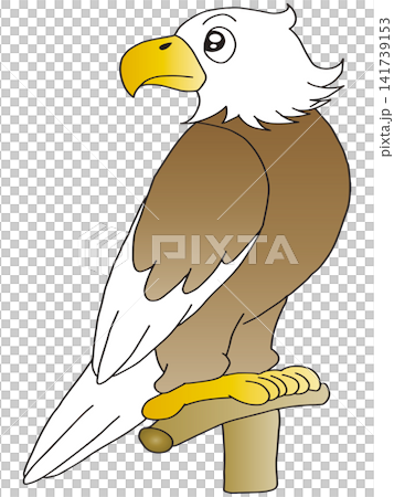 Hand-drawn animal illustration ☆ Bald Eagle Hand-drawn animal illustration ☆ Bald Eagle 141739153