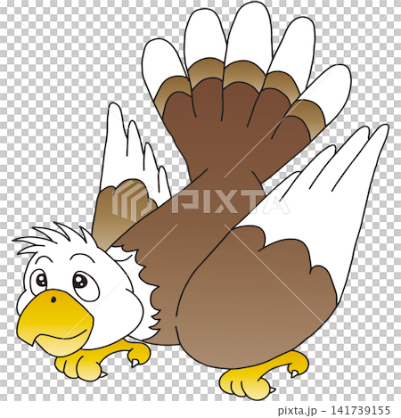Hand-drawn animal illustration ☆ Bald Eagle Hand-drawn animal illustration ☆ Bald Eagle 141739155