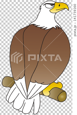 手繪動物插畫 ☆ 白頭鷹 141739160