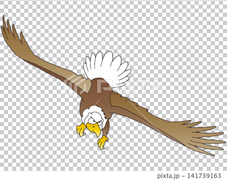 手書き動物イラスト☆白頭鷲 手書き動物イラスト☆白頭鷲 141739163