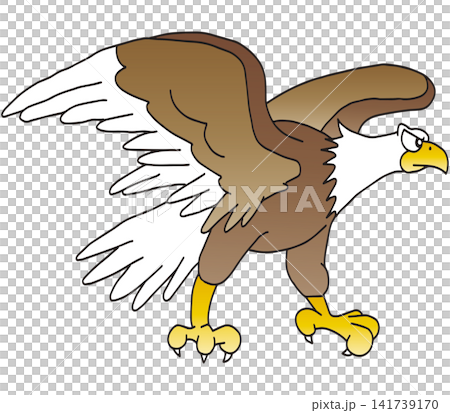 Hand-drawn animal illustration ☆ Bald Eagle Hand-drawn animal illustration ☆ Bald Eagle 141739170