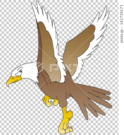 手書き動物イラスト☆白頭鷲 手書き動物イラスト☆白頭鷲 141739171