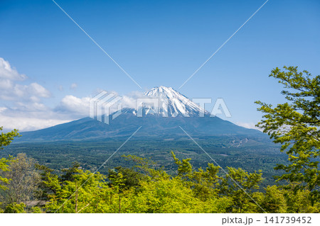 三湖台から望む初夏の富士山と広大な青木ヶ原樹海 三湖台から望む初夏の富士山と広大な青木ヶ原樹海 141739452