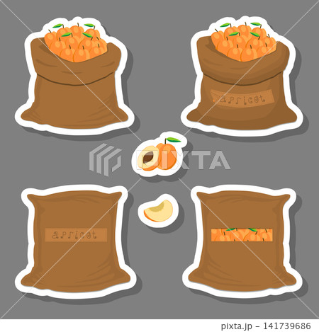 Illustration on theme big set different types round apricot Illustration on theme big set different types round apricot 141739686