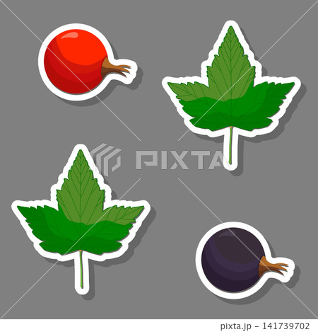 Sweet juicy tasty natural eco product currant 141739702