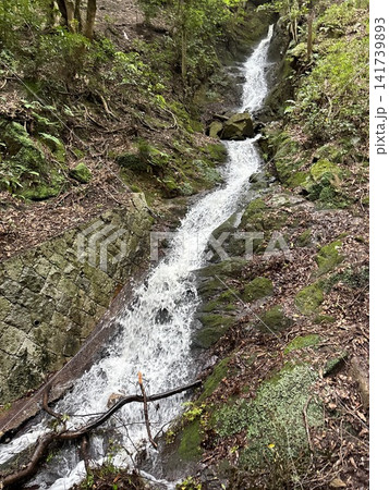 岩肌を流れ落ちる細い沢 六甲山の谷 141739893