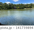 風にさざめく修法ヶ原池の水面と対岸の森 神戸 141739894
