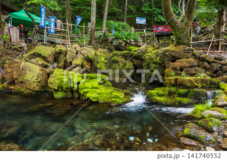 清水川の風景 龍泉洞から流れる川 清水川の風景 龍泉洞から流れる川 141740552