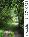 新緑に包まれた山道の小径 141740728