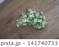木製テーブルに置かれたドライの柏葉アジサイ 141740733