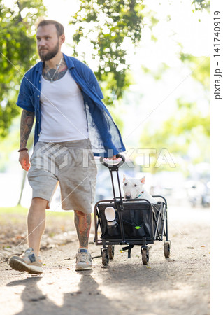 Old bull terrier in a pet stroller being pushed by a man with tattoos, walking along a sunny park path surrounded by trees and greenery Old bull terrier in a pet stroller being pushed by a man with tattoos, walking along a sunny park path surrounded by trees and greenery 141740919