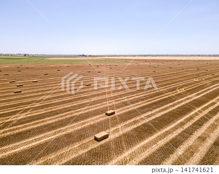 Aerial View of a Harvested Farm Field With Hay Bales Aerial View of a Harvested Farm Field With Hay Bales 141741621