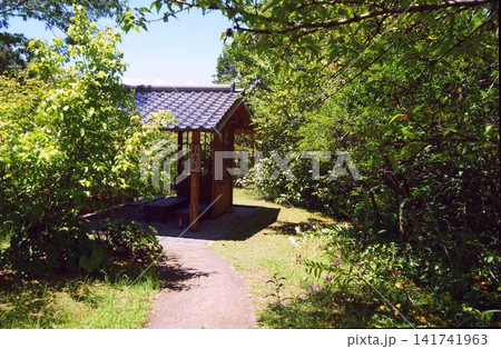 緑の森の中の東屋 緑の森の中の東屋 141741963