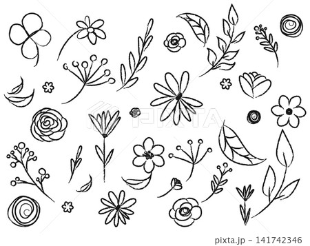 Set of simple doodles of flowers, hand drawn branches, leaves 141742346
