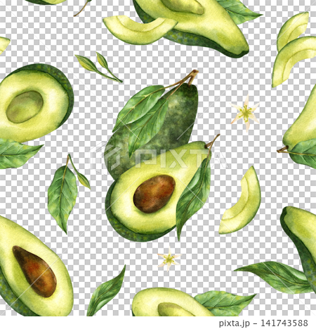 Seamless watercolor avocado pattern isolated on white background. Hand drawn botanical whole avocados, cut halves with pits, green leaves, splashes. Tropical food for textile design, wrapping pape Seamless watercolor avocado pattern isolated on white background. Hand drawn botanical whole avocados, cut halves with pits, green leaves, splashes. Tropical food for textile design, wrapping pape 141743588