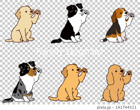 狩猟犬と家庭犬のイラストセット　お手ポーズ　主線あり 141744511