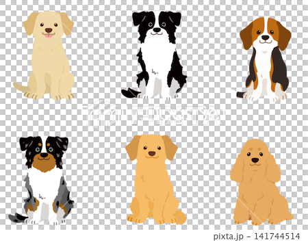 一組獵犬和家犬的插圖,它們都面向前方坐著,沒有輪廓線。 一組獵犬和家犬的插圖,它們都面向前方坐著,沒有輪廓線。 141744514