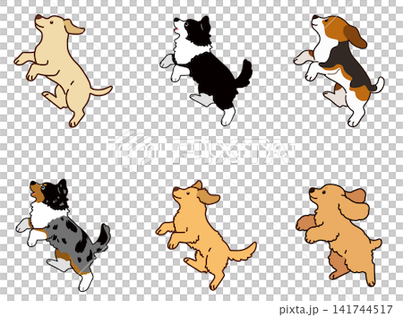 一組描繪獵犬和家犬跳躍的插圖,帶有輪廓線。 一組描繪獵犬和家犬跳躍的插圖,帶有輪廓線。 141744517
