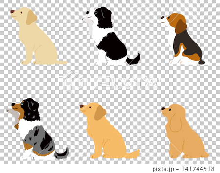 狩猟犬と家庭犬のイラストセット　横向きお座り　主線なし 141744518