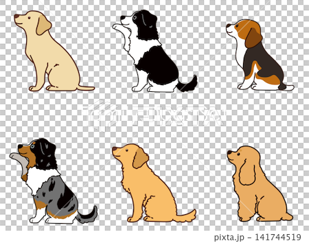 狩猟犬と家庭犬のイラストセット　横向きお座り　主線あり 141744519