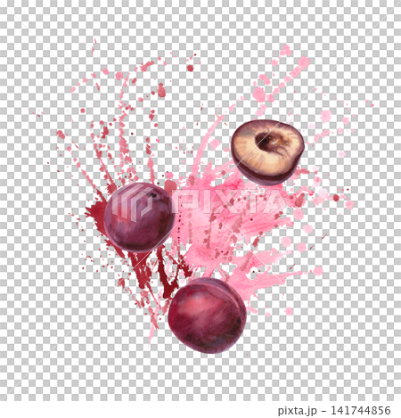 A whole, juicy plum against a background of succulent splashes. Isolated watercolor illustration for cafe menus, jam labels, beverage advertising, culinary blogs, and tea packaging design. 141744856