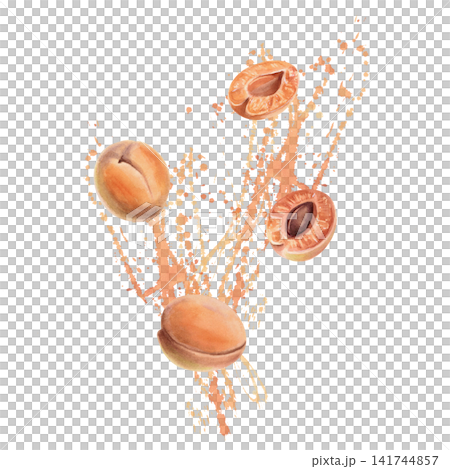 Apricots against a background of juicy splashes. Isolated watercolor illustration for restaurant menus, packaging, culinary blogs, postcards, natural cosmetics label designs, healthy eating articles. Apricots against a background of juicy splashes. Isolated watercolor illustration for restaurant menus, packaging, culinary blogs, postcards, natural cosmetics label designs, healthy eating articles. 141744857
