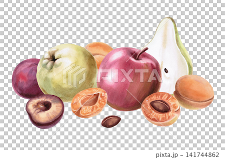 A composition of apples, pears, plums, and apricots. Isolated watercolor illustration for cafe menus, dessert labels, blogs, beverage advertising, and natural cosmetics packaging. A composition of apples, pears, plums, and apricots. Isolated watercolor illustration for cafe menus, dessert labels, blogs, beverage advertising, and natural cosmetics packaging. 141744862