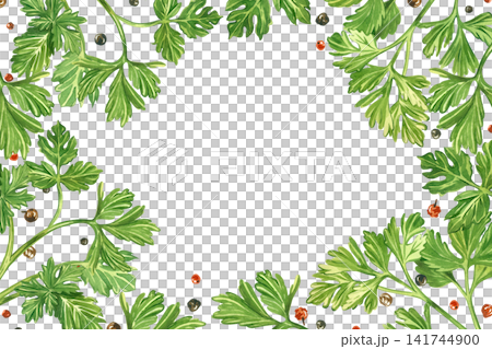 Watercolor frame made of parsley and black and red peppercorns. Everything is hand-painted in watercolor. Handmade grass border for menu design, recipe cards or culinary project, printing on fabric. Watercolor frame made of parsley and black and red peppercorns. Everything is hand-painted in watercolor. Handmade grass border for menu design, recipe cards or culinary project, printing on fabric. 141744900