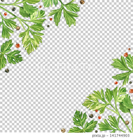 Watercolor frame made of parsley and peppercorns, hand-painted in watercolor. A botanical illustration for the background of a menu or recipe card, the design of kitchen textiles, tableware. Watercolor frame made of parsley and peppercorns, hand-painted in watercolor. A botanical illustration for the background of a menu or recipe card, the design of kitchen textiles, tableware. 141744903