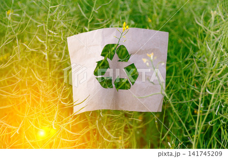 Eco-friendly concept with a cutout recycle symbol on crumpled craft paper placed among green field plants, sustainability and environmental protection Eco-friendly concept with a cutout recycle symbol on crumpled craft paper placed among green field plants, sustainability and environmental protection 141745209