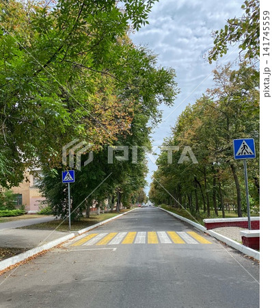 Empty urban street with pedestrian crossing and road signs surrounded by trees under cloudy sky Empty urban street with pedestrian crossing and road signs surrounded by trees under cloudy sky 141745559