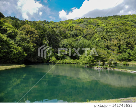 山口県美祢市 白水の池 山口県美祢市 白水の池 141745653