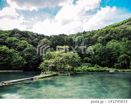 山口県美祢市 白水の池 山口県美祢市 白水の池 141745655