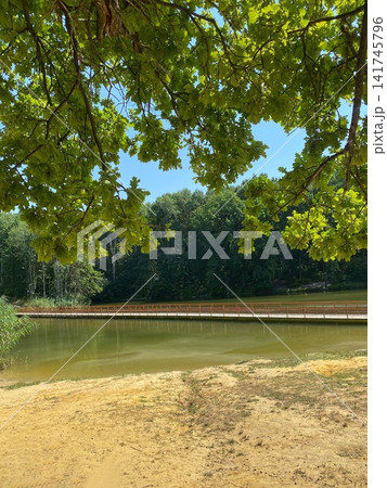 Peaceful lake surrounded by green forest with wooden bridge and tree branches framing the view on a sunny summer day Peaceful lake surrounded by green forest with wooden bridge and tree branches framing the view on a sunny summer day 141745796