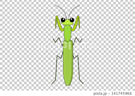 Illustration of a green praying mantis Illustration of a green praying mantis 141745968