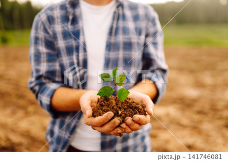 Close-up of a farmer's hands holding a young plant with soil. Gardening concept, agriculture. Close-up of a farmer's hands holding a young plant with soil. Gardening concept, agriculture. 141746081