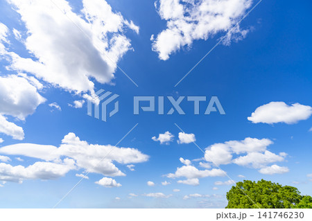 夏の青空と雲と樹木 141746230