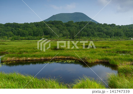 北海道共和町 神仙沼に広がる湿原と池塘の美しい自然風景 北海道共和町 神仙沼に広がる湿原と池塘の美しい自然風景 141747339