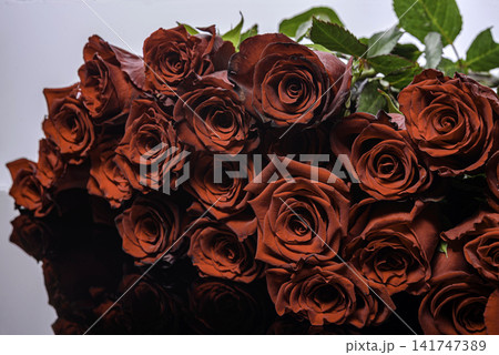 red roses bouquet on a white background red roses bouquet on a white background 141747389