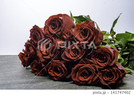 red roses on gray background 141747402