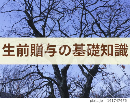 生前贈与の基礎知識の文字入り背景 生前贈与の基礎知識の文字入り背景 141747476