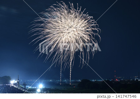 夏の夜空を彩る花火 夏の夜空を彩る花火 141747546