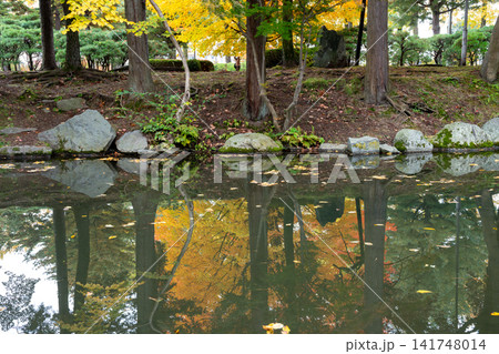 秋の公園の紅葉したカエデの樹を映す小川の水面 141748014